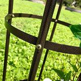Garden Arch Trellis for Climbing Plants Rose Thicken Metal Wedding Arches Arbor Ceremony Party Outdoor Floral Decor Bronze AngJi