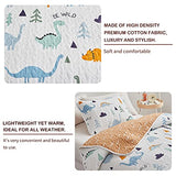 Joyreap 2-Piece Cotton Quilt Set Twin, Cute Dinosaur Reversible Design for Kids Boys n Girls, Breathable Skin-friendly Quilt Bedspread Bed Cover for All Season, 1 Quilt and 1 Pillow Sham- 68x86 inches Joyreap