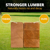 Gorilla Playsets 01-0004-AP Frontier Wood Swing Set with Wood Roof, Tire Swing, Two Belt Swings, Picnic Table, Sandbox, Rock Climbing Wall, Amber Gorilla Playsets