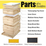 BeeCastle 10-Frame Complete Bee Hives and Supplies Starter Kit,Beehives for Beginners with Beehive Frames and Waxed Foundations (2 Deep Bee Boxes & 1 Medium Super Bee Box) BeeCastle