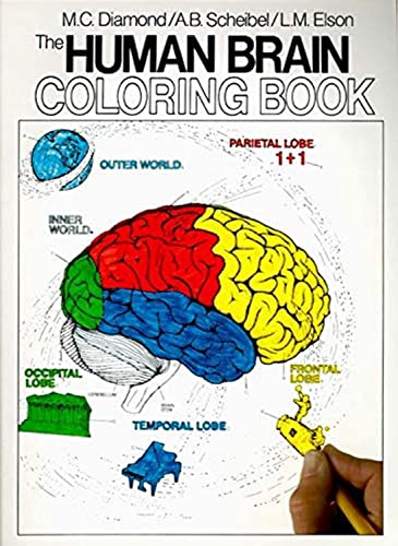 The Human Brain Coloring Book: A Coloring Book (Coloring Concepts) Collins Reference