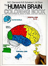 The Human Brain Coloring Book: A Coloring Book (Coloring Concepts) Collins Reference