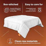 HOSPITOLOGY PRODUCTS White Comforter Queen Hypoallergenic Duvet Insert Microfiber All Season Goose Down Alternative Quilted - Corner Loops - Box Stitched - Washable - 90" W x 94" L HOSPITOLOGY PRODUCTS
