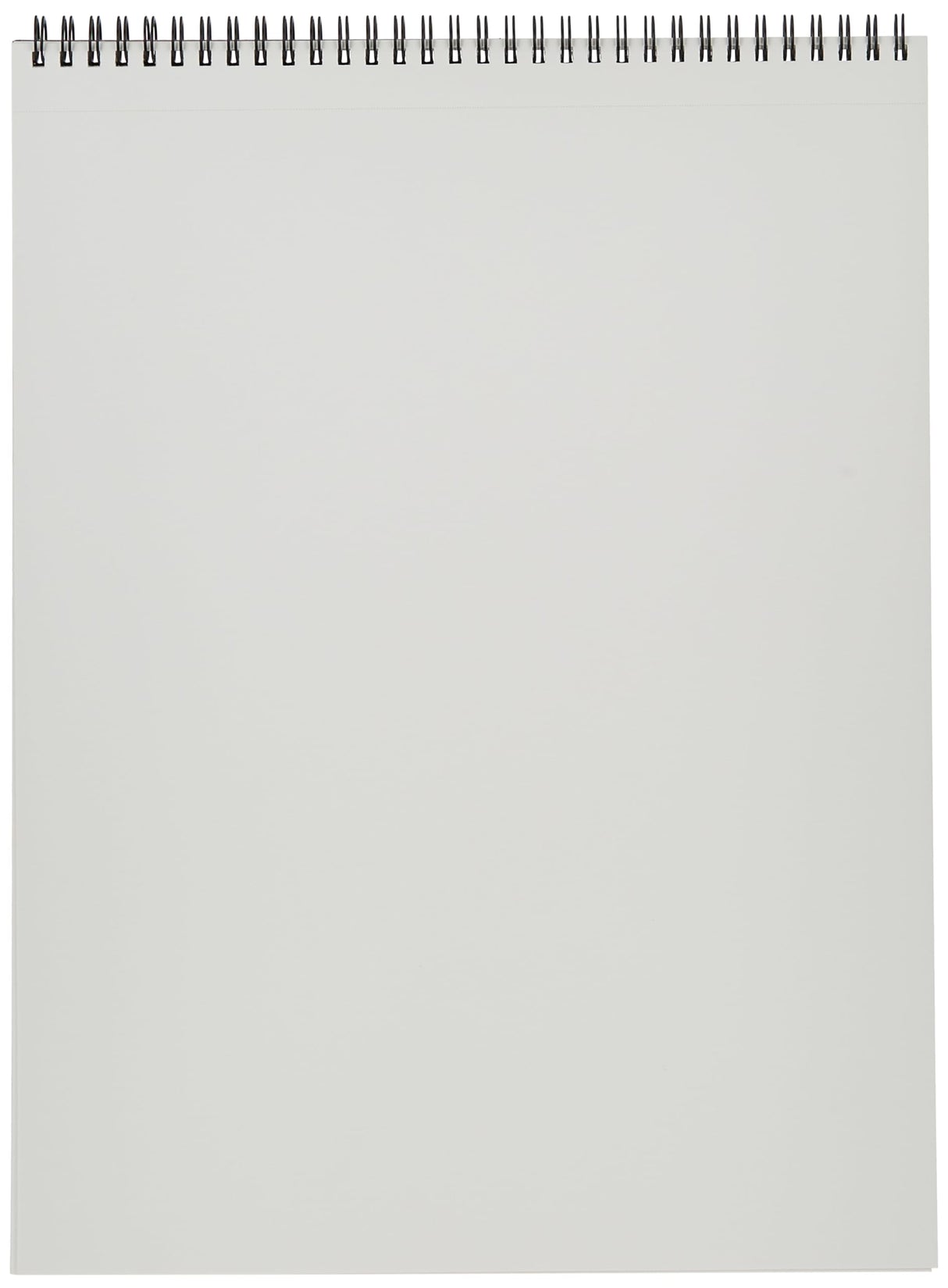 Canson Artist Series Mixed Media Paper, Wirebound Pad, 11x14 inches, 20 Sheets (138lb/224g) - Artist Paper for Adults and Students - Watercolor, Gouache, Graphite, Ink, Pencil, Marker Canson