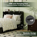 TemkTuek Queen Murphy Bed with Charging Station Cabinet Space Saving Wall Bed for Guest Room, Study, Apartment with Built in USB Ports (NOT Included Mattress) Black (13) TemkTuek