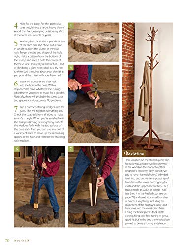 Tree Craft: 35 Rustic Wood Projects That Bring the Outdoors In (Fox Chapel Publishing) Elegant, One-of-a-Kind Decor from Found Wood, Including Lamps, Clocks, Planters, Photo Frames, Games, and More