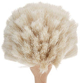 Fox Run Kitchen Brush, Natural Horsehair Fiber Dish and Glass Brush, 10" Fox Run