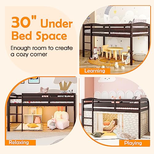 KOTEK Twin Loft Bed, Solid Wood Low Loft Bed for Kids with Ladder & Guard Rails, No Box Spring Needed, Space-Saving Loft Bed Frame for Boys & Girls (Espresso) KOTEK