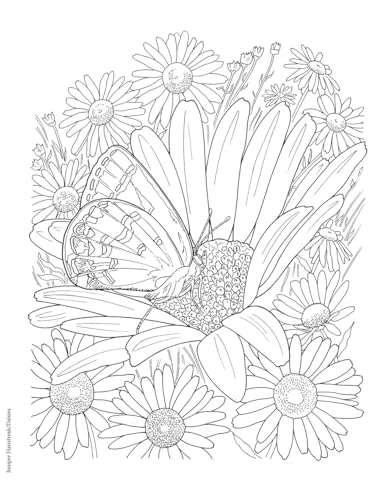 Creative Haven Butterfly Gardens Coloring Book; A Journey through Nature For Stress Relief and Relaxation (Adult Coloring Books: Insects) Dover Publications