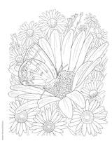 Creative Haven Butterfly Gardens Coloring Book; A Journey through Nature For Stress Relief and Relaxation (Adult Coloring Books: Insects) Dover Publications