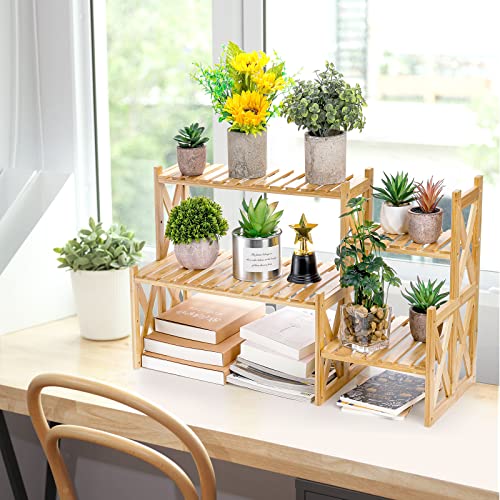 Lawei 2 Tier Bamboo Tabletop Plant Stand, Adjustable Flower Pot Holder Shelf Planter Display Stand, Small Desktop Ladder Plant Rack for Indoor Outdoor Home Patio Lawn Garden Balcony Organizer