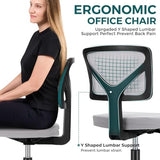 DUMOS Small Office Chairs with Wheels, Ergonomic Adjustable Home Desk Swivel Rolling Task Chair No Arms, Comfy Mesh Mid Back Computer Work Vanity Desk Chairs for Small Spaces, Dark Grey DUMOS