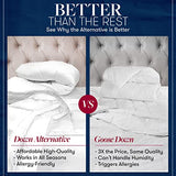 Beckham Luxury Linens 1600 Series Lightweight Goose Down Alternative Comforter Twin/Twin XL/Olive Beckham Hotel Collection