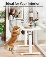 BIZUM Standing Desk Electric Adjustable Computer Desk-Stand up Desk Office Gaming Home Office Memory Desks 48x24 inches White BIZUM