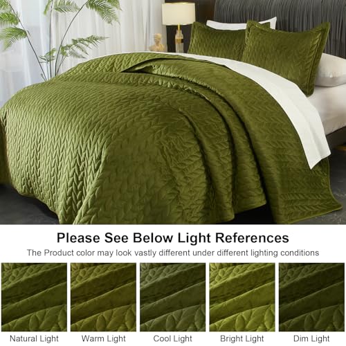 Ivellow Velvet Quilt Queen Size Green Lightweight Velvet Comforter Set Oversized Bedspread Coverlet Full for All Season 3Pcs Luxury Quilted Bedding Ivellow