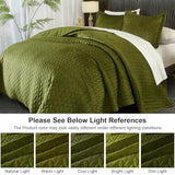 Ivellow Velvet Quilt Queen Size Green Lightweight Velvet Comforter Set Oversized Bedspread Coverlet Full for All Season 3Pcs Luxury Quilted Bedding Ivellow