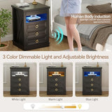 Lvifur Farmhouse Nightstand with Gun Drawer, Human Sensor LED Bedside Table with LED Lights & Charging Station, Rustic Wood Sofa Side End Table with 3 Drawers for Bedroom (Black) Lvifur