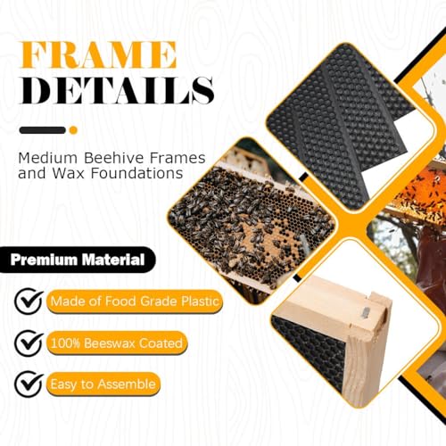 BeeCastle Medium Beehive Frames and Wax Foundations,10 Pack Honey Bee Frames with Wooden Bee Hive Frames and 100% Beeswax Coated Foundations, 6-1/4-Inch (Black) BeeCastle