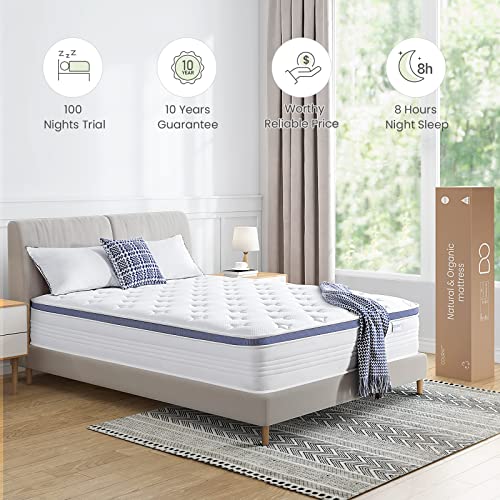 Dourxi Twin Mattress, 12 Inch Hybrid Mattress in a Box with Gel Memory Foam, Individually Pocketed Springs for Support and Pressure Relief - Medium Plush Dourxi