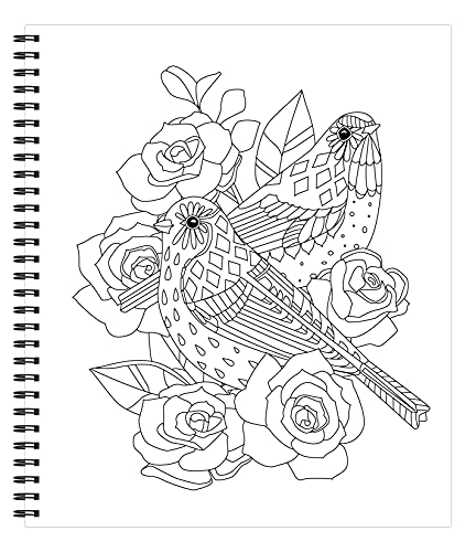 Large Print Easy Color & Frame - Birds (Stress Free Coloring Book) WoodArtSupply