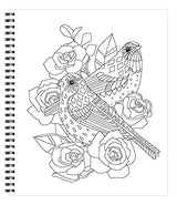 Large Print Easy Color & Frame - Birds (Stress Free Coloring Book) WoodArtSupply