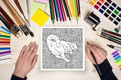 Cat Butt: An Off-Color Adult Coloring Book for Cat Lovers