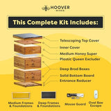 Hoover Hives: The Original Beeswax Coated Beehive Kit. Includes 2 Deep & 1 Medium Boxes with Wooden Frames & Heavy Wax Coated Foundations. Easy Assembly with Predrilled Holes & Screws (Unassembled) Hoover Hives