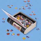 Bibliophile Diverse Spines 500-Piece Puzzle Chronicle Books