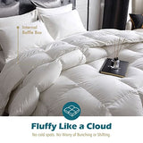 Cobnom® Luxury Organic Feather Down Comforter King Size, High Fill-Power Down & Feather Fibers Filled Duvet Insert with 100% Cotton Cover, Medium Warm for All-Season, Ivory White, 106x90 Inch Cobnom