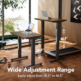 HUANUO 71 x 30 inch Electric Standing Desk Adjustable Height, 4 Memory Height Settings, Sit Stand Up Desk for Home Office & Computer Workstation, Black Walnut HUANUO