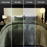 Powdion Velvet Quilt Queen Size, Oversized Bedspread Quilted Bedding Set, Luxurious Soft Coverlet Set Lightweight Velvet Comforter for All Season with Pillow Shams 90x96 Army Green Striped Queen Powdion