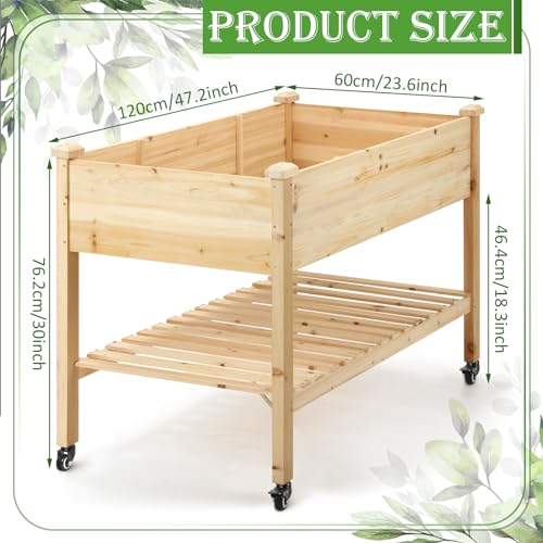 Suzile 2 Pcs Raised Garden Bed on Wheels, 48 x 24 x 30 Inch Elevated Wood Planter Box with Legs and Storage Shelf Wooden Raised Garden Bed with Drain Holes for Vegetable Flower Herb Outdoors Backyard