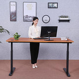 ApexDesk Elite Pro Series 60" Electric Height Adjustable Stand up Desk, Sit Stand Home Office Desk, Computer Desk - Curved Apple ApexDesk