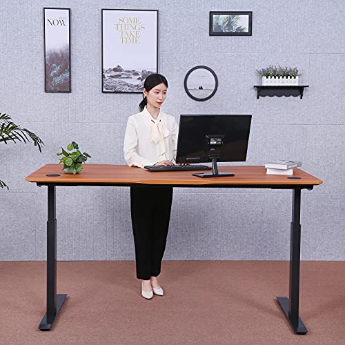 ApexDesk Elite Pro Series 60" Electric Height Adjustable Stand up Desk, Sit Stand Home Office Desk, Computer Desk - Curved Apple - WoodArtSupply