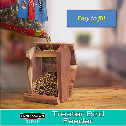 Pennington Cedar Treater Bird Feeder 2 Pounds - WoodArtSupply