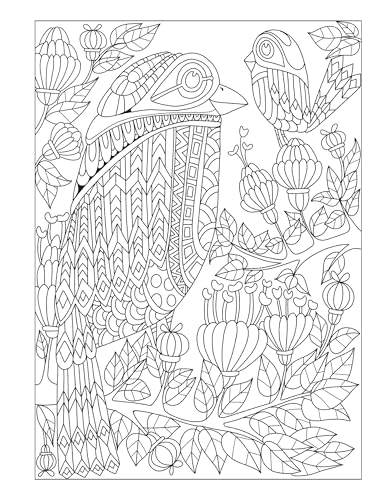 Creative Haven Fanciful Birds Coloring Book (Adult Coloring Books: Animals) Dover Publications