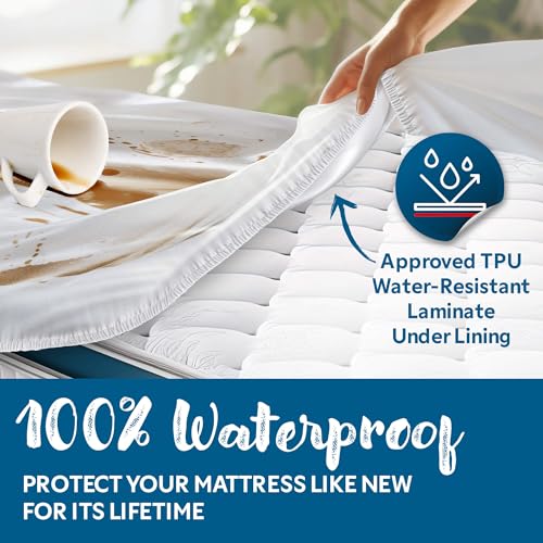 Guardmax Jersey Knitted Cot Size Mattress Protector - Waterproof & Dust Mite Proof Mattress Cover with Stretchable Pockets - Soft, Comfortable, & Noiseless Waterproof Fitted Sheet.(33 x 75 X 12) Guardmax