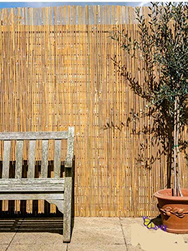 MGP Bamboo Slat Fence