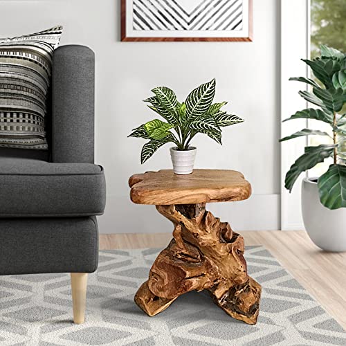 Warmaxx Natural Irregular Shape Tree Stump End Table Plant Stand 14"x13"x18"H Solid Cedar Wood Outdoor Rustic Sit Foot Stools Live Edge Coffee Side Table Living Room Bedroom Outdoor Garden Warmaxx