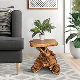 Warmaxx Natural Irregular Shape Tree Stump End Table Plant Stand 14"x13"x18"H Solid Cedar Wood Outdoor Rustic Sit Foot Stools Live Edge Coffee Side Table Living Room Bedroom Outdoor Garden Warmaxx