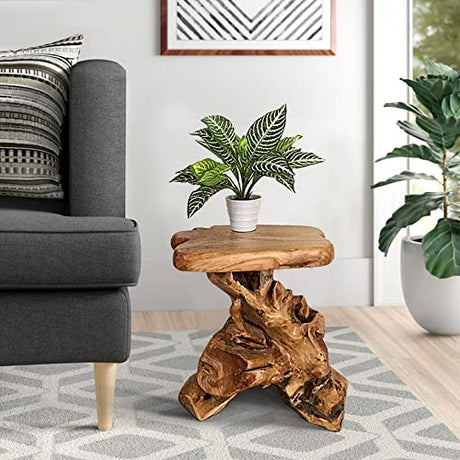 Warmaxx Natural Irregular Shape Tree Stump End Table Plant Stand 14"x13"x18"H Solid Cedar Wood Outdoor Rustic Sit Foot Stools Live Edge Coffee Side Table Living Room Bedroom Outdoor Garden Warmaxx
