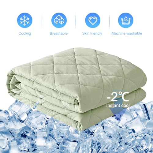 EVOLIVE Elastane Diamind Quilted All Season Light Weight Single Reversible Cooling Quilt/Comforter (Green, Twin) EVOLIVE