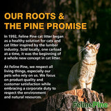 Feline Pine Platinum Non-Clumping Cat Litter 18lb. Arm & Hammer