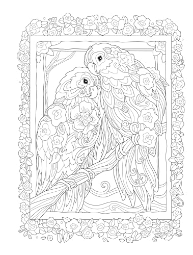 Creative Haven Birds and Blossoms Coloring Book (Adult Coloring Books: Animals) Dover Publications