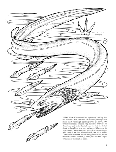 Sharks of the World Coloring Book (Dover Sea Life Coloring Books) Dover Publications