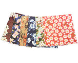 Origami Paper 500 sheets Cherry Blossoms 4" (10 cm): Tuttle Origami Paper: Double-Sided Origami Sheets Printed with 12 Different Illustrated Patterns Tuttle Publishing