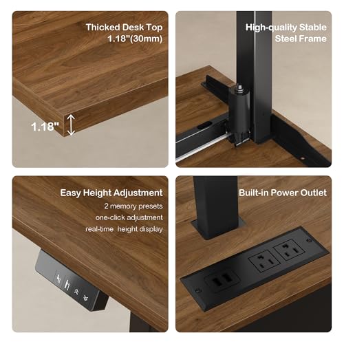 ModernMate 71" Standing Executive Desk with Privacy Panel, Large One-Piece Electric Height Adjustable Stand Up Desk with Charging Station, File Cabinet Storage, Home and Office, Black Walnut ModernMate