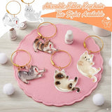 OGNWFUNK 2Pcs Cat Hair Keepsake Bottles, Pet Hair Keychain for Collecting Hair, Furever Gift for Pet Lovers, Cat Keychain Memory Keepsake