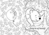 Disney: Winnie The Pooh Colouring (Young Adult Colouring) WoodArtSupply