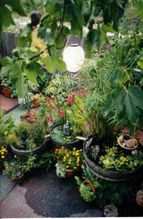 Master Garden Products Reclaimed Used Wine Barrel Planter, Brown, Outdoor Master Garden Products